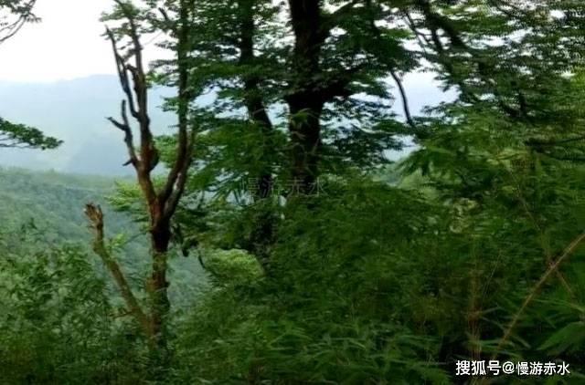 闺蜜的时尚对决
